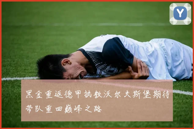 黑金重返德甲执教沃尔夫斯堡期待带队重回巅峰之路